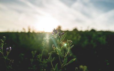 Najbolji način kako započeti dan – Top 6 savjeta za produktivan i ispunjen jutarnji početak