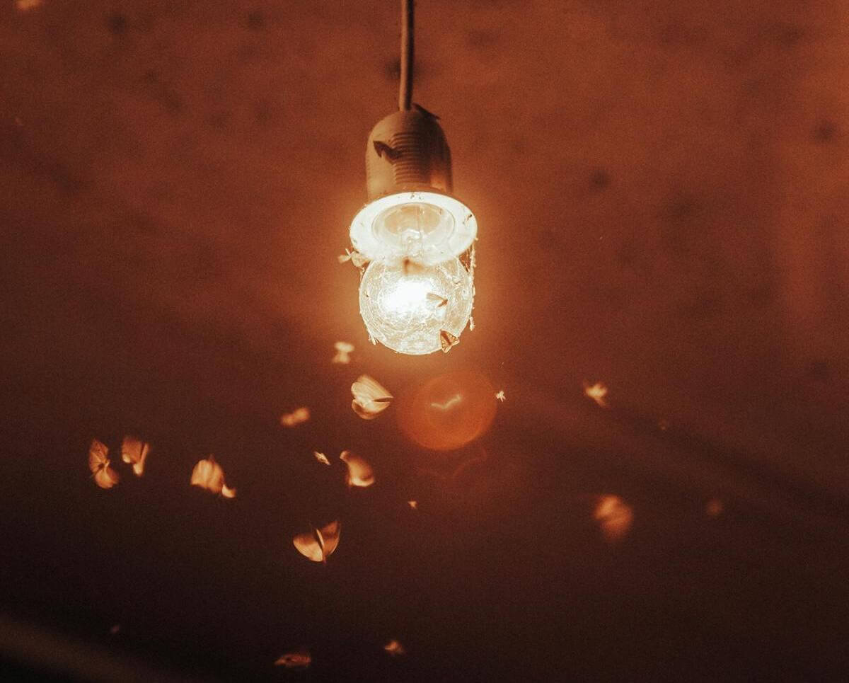 najbolje sredstvo za buhe u kući