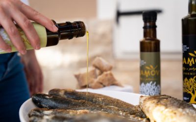 Maslinovo ulje – svakodnevni saveznik zdravlja i dugovječnosti